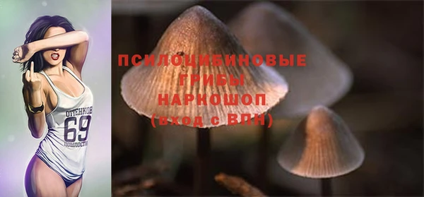 мяу мяу мука Арсеньев