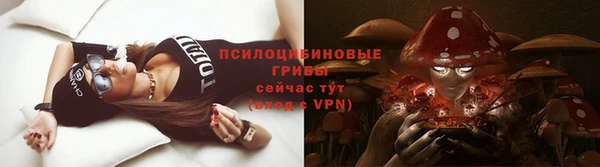 спайс Аркадак