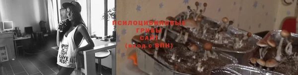 ешки Армянск